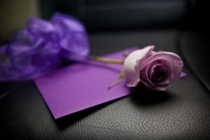 Scavenger Hunt Proposal