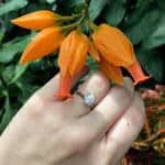 Q&A: Help Choosing a Round or a Princess Cut Diamond With Around $8,000 Budget